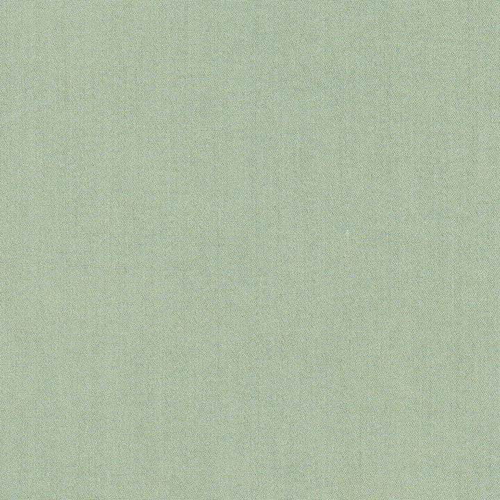 Tempt Horizon by Carole Designer Fabric Royale 100% IFR Polyester India Passes 45,000 Double Rubs Wyzenbeek Horizontal: 0 and Vertical: 0 54 - Swanky Fabrics -