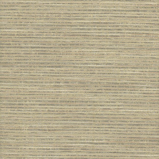 Stacked Cards Raffia by Carole Fabric STATIONERY 69% Polyester, 31% Viscose India Passes 15,000 Double Rubs Wyzenbeek Horizontal: None and Vertical: None 54" - Fabric Carolina -