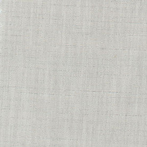 Photo Finish Dove Grey by Carole Fabric