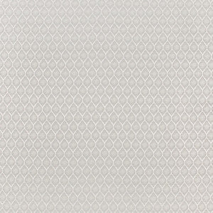 Girls Night Out Silver by Carole Fabric