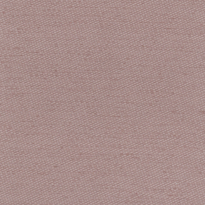 Fact Finder Orchid by Carole Fabric Scarlet 100% Polyester Turkey Passes 40,000 Double Rubs Wyzenbeek Horizontal: 0 and Vertical: 0 59 - Fabric Carolina -