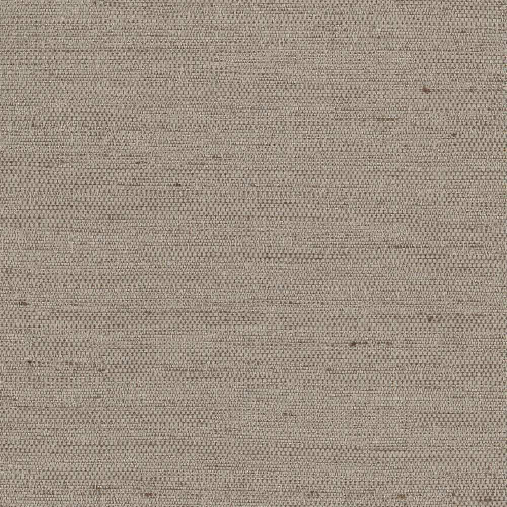 Aiden Taupe by Carole Fabric Pewter 100% Polyester India N/A Horizontal: 0 and Vertical: 0 54 - Fabric Carolina -