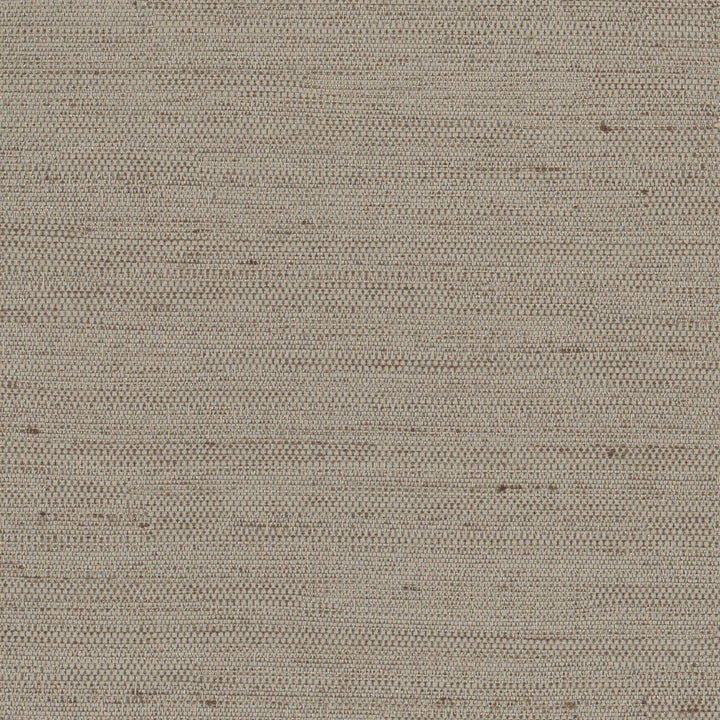 Aiden Taupe by Carole Fabric Pewter 100% Polyester India N/A Horizontal: 0 and Vertical: 0 54 - Fabric Carolina -