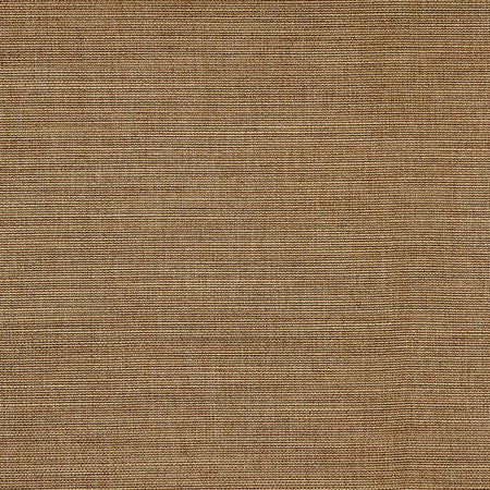 Boardroom Trail by Carole Fabric Power Play 100% IFR Hybrid Polyester 25,000 Wyzenbeek Double Rubs None 54" - Fabric Carolina -