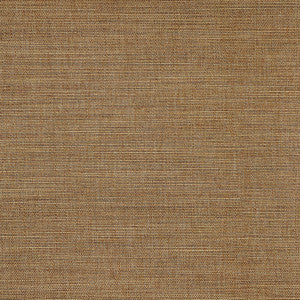Boardroom Trail by Carole Fabric