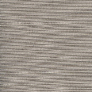Admission Gray by Carole Fabric