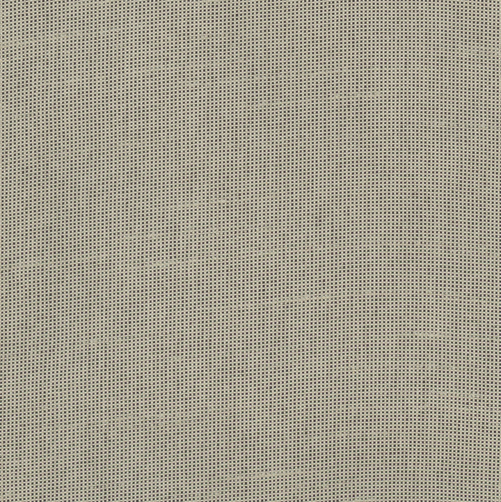 Fleeting Pebble by Carole Fabric Royale 100% Polyester India Passes 50,000 Double Rubs Wyzenbeek Horizontal: 0 and Vertical: 0 54 - Fabric Carolina -