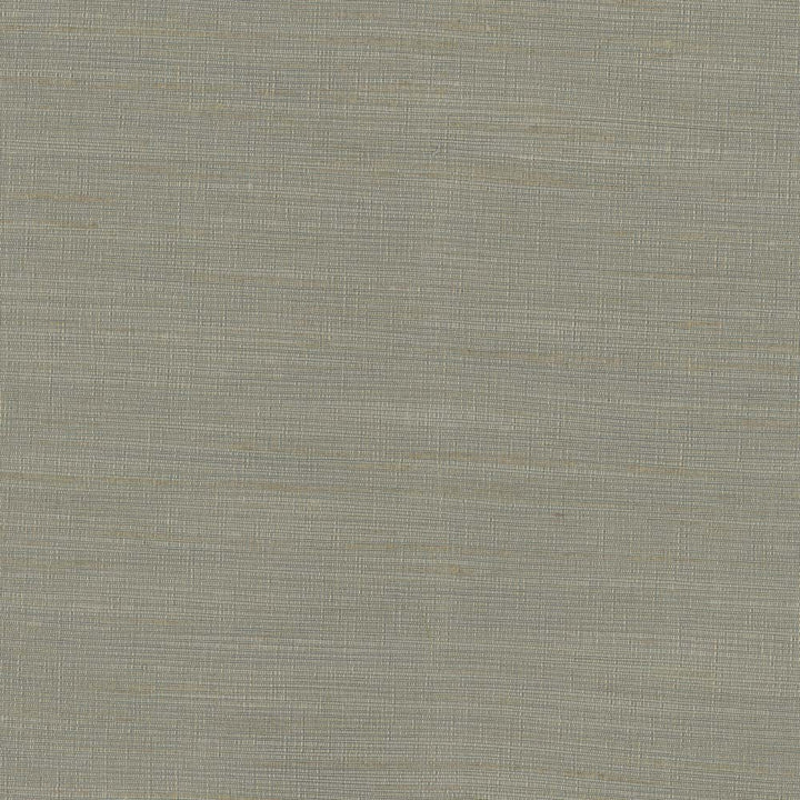 So Far Sage by Carole Fabric Texture Theory 100% Polyester India N/A Horizontal: 0 and Vertical: 0 55 - Fabric Carolina -