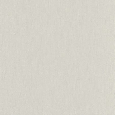 Comfort Cement by Carole Designer Fabric Daydreaming 100% Cotton India Passes 21,000 Double Rubs Wyzenbeek Horizontal: None and Vertical: None 54" - Swanky Fabrics -
