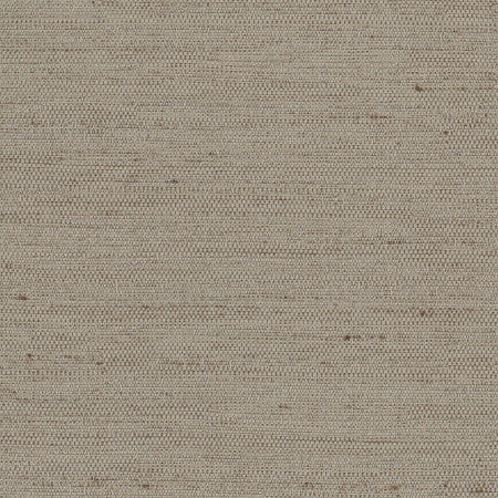 Aiden Taupe by Carole Fabric Aiden Gallery,Pewter,Subtle Hints 100% Polyester INDIA PASSES 30,000 DOUBLE RUBS WYZENBEEK Horizontal: None and Vertical: None 56" - Fabric Carolina -