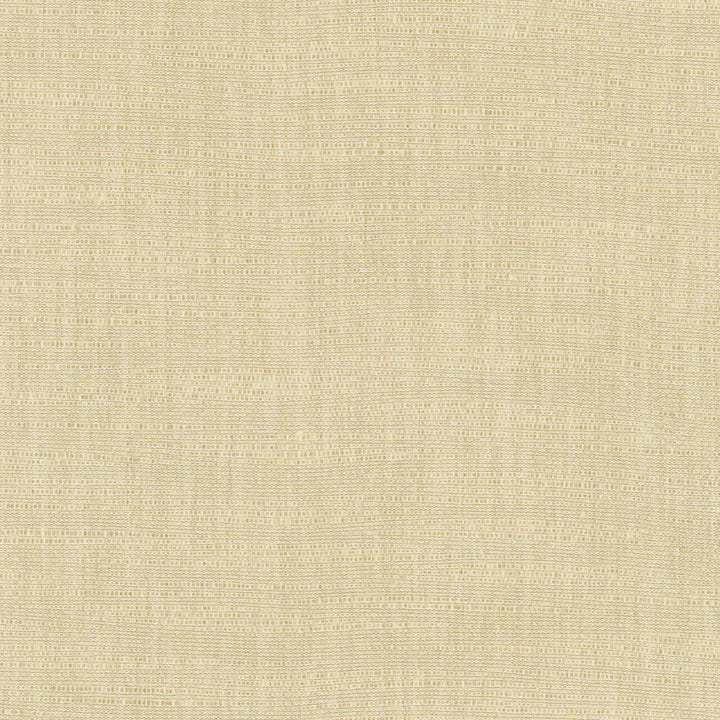 Athlete Tan by Carole Fabric Chestnut 60% Cotton, 40% Polyester India Passes 50,000 Double Rubs Wyzenbeek Horizontal: 0 and Vertical: 0 55 - Fabric Carolina -