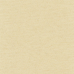 Fact Finder Stone by Carole Fabric