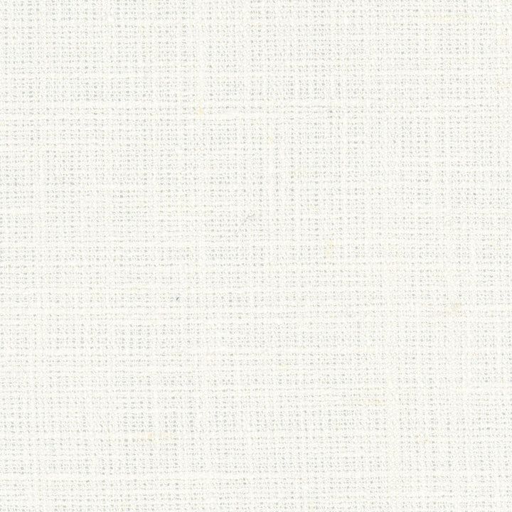 Inner Child Cream by Carole Designer Fabric Opal 66% Polyester, 21% Cotton, 13% Linen India Passes 15,000 Double Rubs Wyzenbeek Horizontal: 0 and Vertical: 0 54 - Swanky Fabrics -