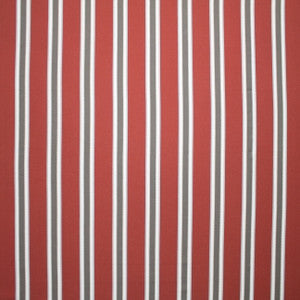 Honor Society Cinnamon by Carole Fabric