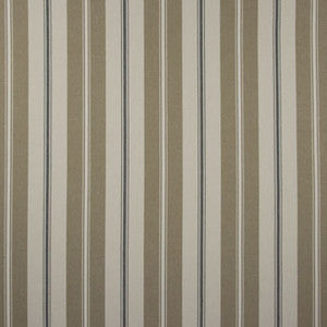 Accentuate Wicker by Carole Fabric