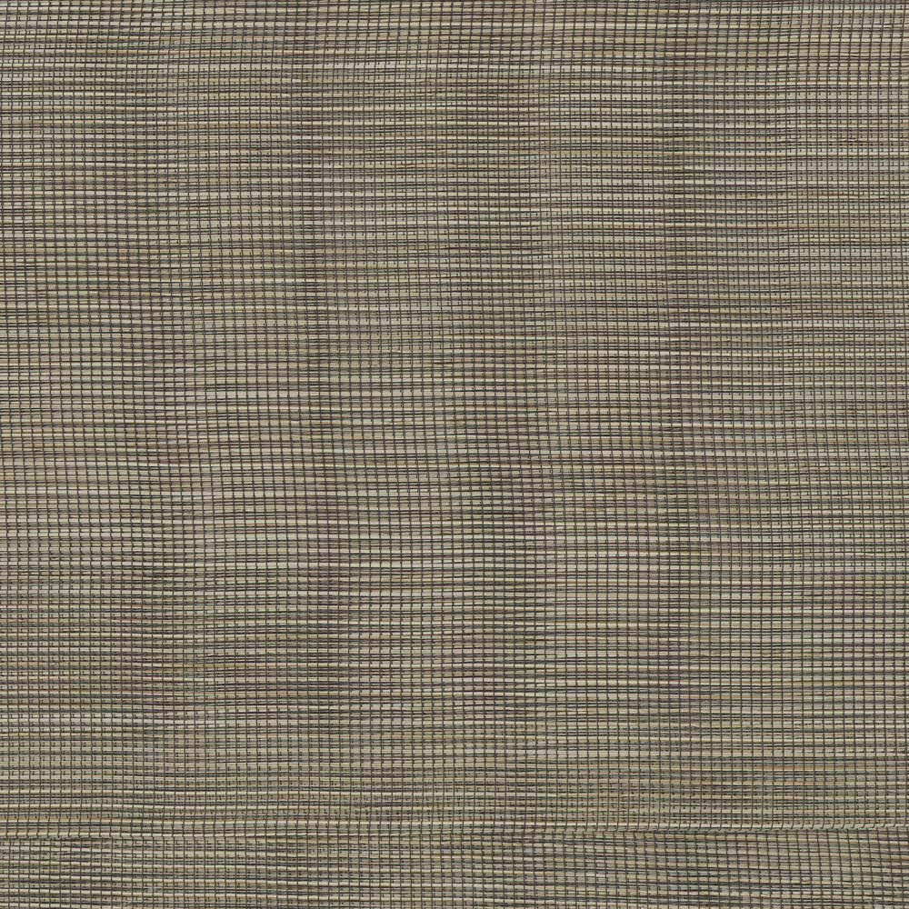 Cloudless Sky Woodtone by Carole Fabric Sheer Divine 100% Polyester Germany N/A Horizontal: 0 and Vertical: 0 120 - Fabric Carolina -