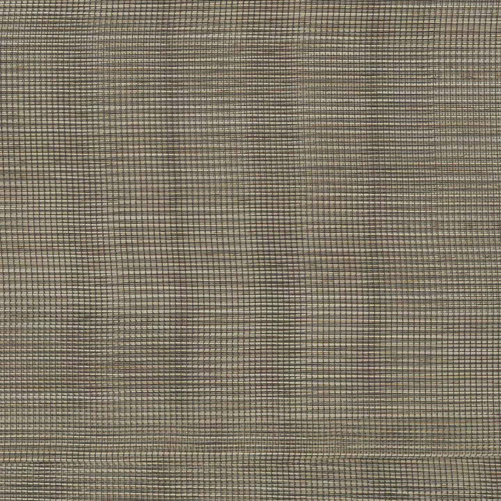 Cloudless Sky Woodtone by Carole Fabric Sheer Divine 100% Polyester Germany N/A Horizontal: 0 and Vertical: 0 120 - Fabric Carolina -