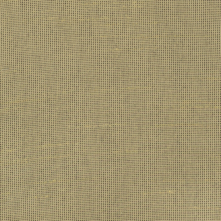 Fleeting Cashew by Carole Fabric Royale 100% Polyester India Passes 50,000 Double Rubs Wyzenbeek Horizontal: 0 and Vertical: 0 54 - Fabric Carolina -