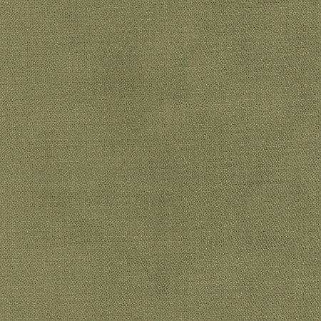 <p>Regal Touch Leaf by Carole Fabric</p><p><strong>Required Minimum Quantity Purchase: 2 yards</strong></p><p>Book: Warm Embrace</p><p>Content: 100% Polyester</p><p>Origin: </p><p>Performance: 15,000 Wyzenbeek Double Rubs</p><p>Repeat: None</p><p>Width: 55""</p>