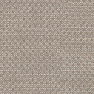 Bigelow Greige by Carole Fabric