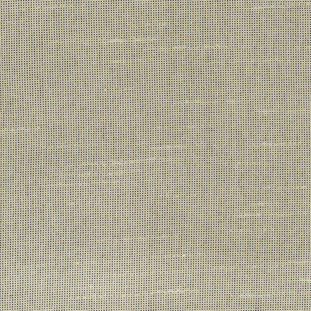 Fleeting Sand by Carole Fabric Royale 100% Polyester India Passes 50,000 Double Rubs Wyzenbeek Horizontal: None and Vertical: None 54" - Fabric Carolina -