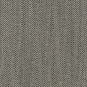 Tell All Graphite by Carole Fabric