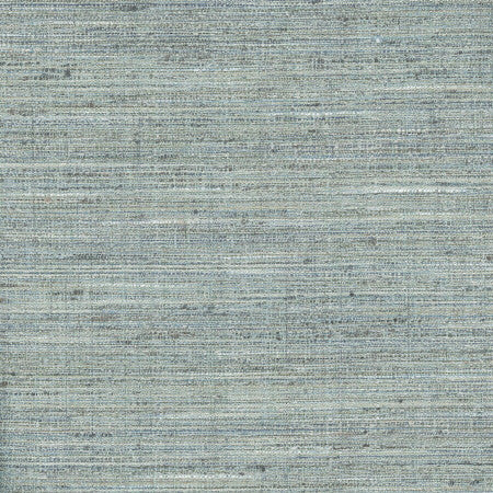 Gear Up Mallard by Carole Fabric Celadon 100% Polyester India Passes 30,000 Double Rubs Wyzenbeek None 5475"  - Fabric Carolina -