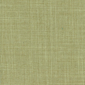 Sightsee Olive Tree by Carole Designer Fabric Sensibility 100% Polyester China Passes 30,000 Double Rubs Wyzenbeek Horizontal: None and Vertical: NONE 55" - Swanky Fabrics -