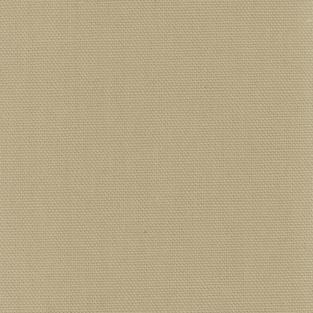 Daydreamer Linen by Carole Fabric Daydreaming 100% Cotton- Soil Release USA Passes 30,000 Double Rubs Wyzenbeek Horizontal: 0 and Vertical: 0 54 - Fabric Carolina -