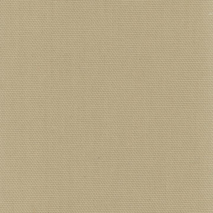 Daydreamer Linen by Carole Fabric Daydreaming 100% Cotton- Soil Release USA Passes 30,000 Double Rubs Wyzenbeek Horizontal: 0 and Vertical: 0 54 - Fabric Carolina -