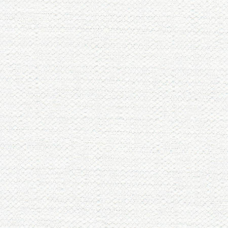 Harpoon White by Carole Fabric Opal 100% Polyester India  None 54"  - Fabric Carolina -