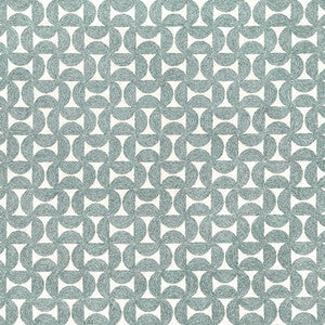 Spin Master Chambray by Carole Fabric