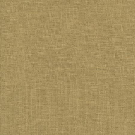 Fundamental Canyon by Carole Fabric FUNDAMENTAL 100% Polyester Turkey Passes 20,000 Double Rubs Wyzenbeek Horizontal: None and Vertical: None 54" - Fabric Carolina -
