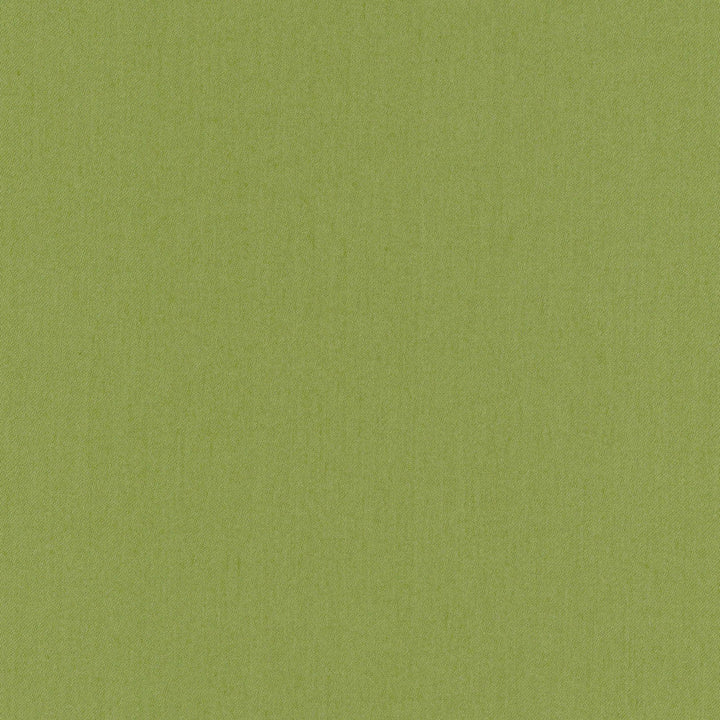 Comfort Grass by Carole Designer Fabric Daydreaming 100% Cotton India Passes 21,000 Double Rubs Wyzenbeek Horizontal: 0 and Vertical: 0 54 - Swanky Fabrics -