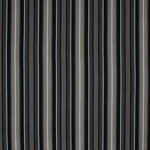 Sheet Music Charcoal by Carole Fabric
