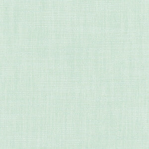 Athlete Seafoam by Carole Fabric