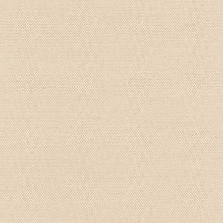 Freshman Sand by Carole Fabric Toasted Almond 100% Polyester INDIA 100,000 Wyzenbeek Double Rubs None 54"  - Fabric Carolina -