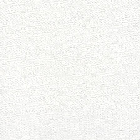 Aiden White by Carole Designer Fabric Aiden Gallery,Opal,Subtle Hints 100% Polyester INDIA PASSES 30,000 DOUBLE RUBS WYZENBEEK Horizontal: None and Vertical: None 56" - Swanky Fabrics -