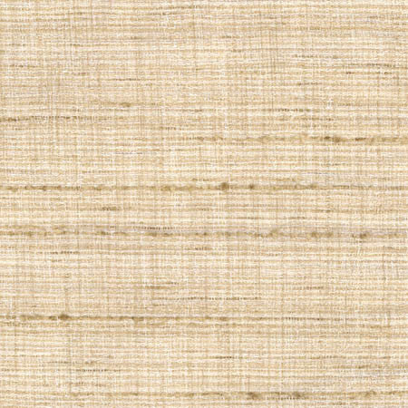 Tabletop Papyrus by Carole Fabric Abode 100% Polyester India 30,000 Wyzenbeek Double Rubs None 54.75"  - Fabric Carolina -