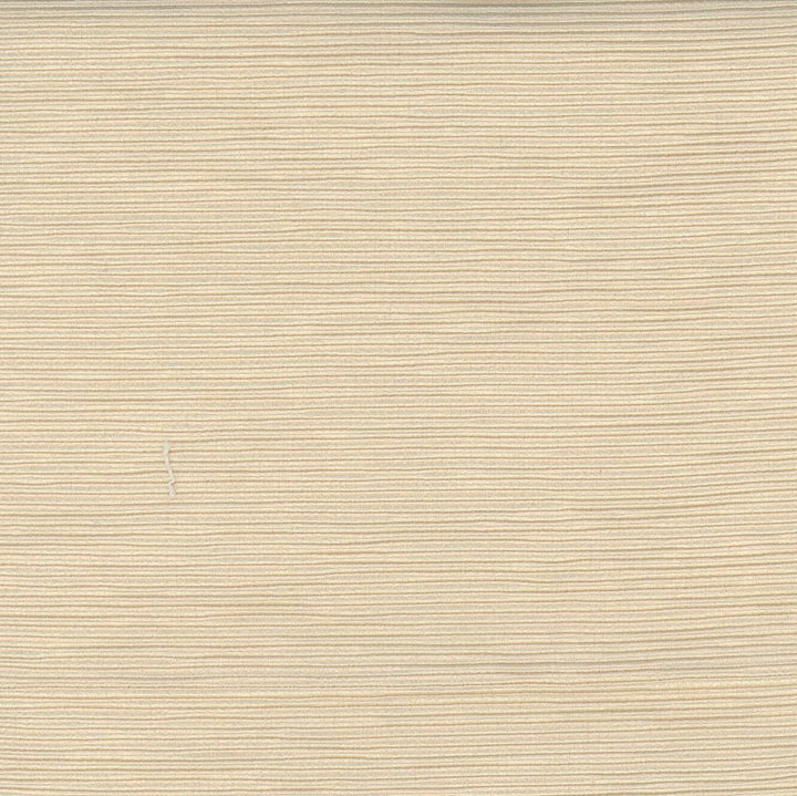 First Novel Ivory by Carole Fabric Stationery 72% Rayon, 28% Polyester China Passes 30,000 Double Rubs Wyzenbeek Horizontal: 0 and Vertical: 0 55 - Fabric Carolina -