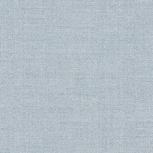 Cortland Chambray by Carole Fabric