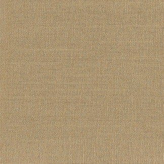 Succulent Driftwood by Carole Fabric Succulent,Succulent II 100% POLYESTER INDIA N/A Horizontal: None and Vertical: NONE 54" - Fabric Carolina -