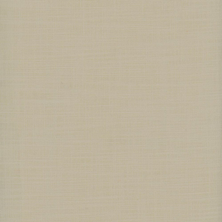 Fundamental Sand by Carole Fabric Fundamental 100% Polyester Turkey Passes 20,000 Double Rubs Wyzenbeek Horizontal: 0 and Vertical: 0 54 - Fabric Carolina -