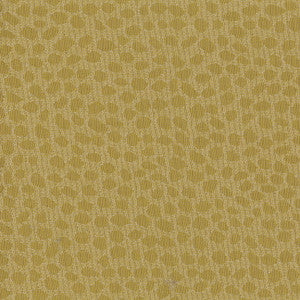 Who We Are Citrus by Carole Fabric