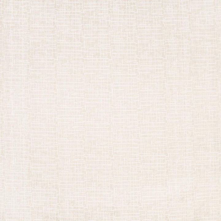 Beauty Pageant Bamboo by Carole Fabric Winner'S Circle 100% Polyester India Passes 50,000 Double Rubs Wyzenbeek Horizontal: 35 and Vertical: 35 54 - Fabric Carolina -
