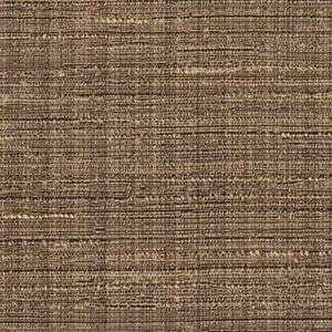 Kagan Mocha by Carole Fabric