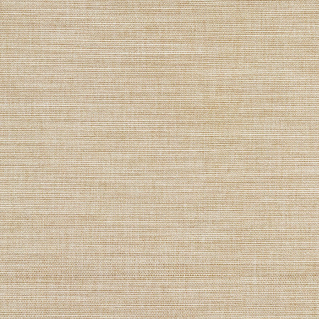 Boardroom Wet Sand by Carole Fabric Power Play 100% IFR Hybrid Polyester 25,000 Wyzenbeek Double Rubs None 54" - Fabric Carolina -