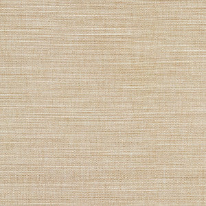 Boardroom Wet Sand by Carole Fabric