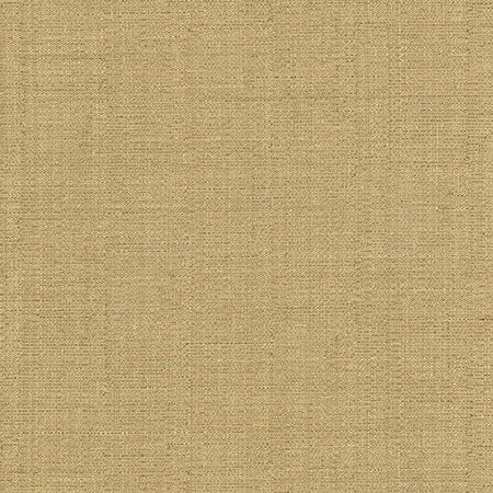 Cortland Butterscotch by Carole Fabric Gala 100% Polyester India 30,000 WYZENBEEK DOUBLE RUBS None 54.75"  - Fabric Carolina -
