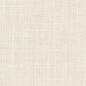 Fall Point Sand Dollar by Carole Fabric